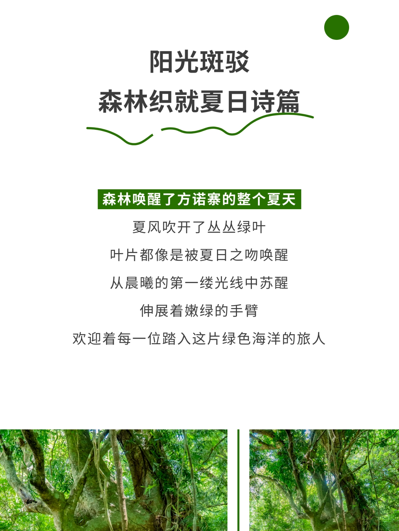微信图片_2026-05-18_181740_833.jpg