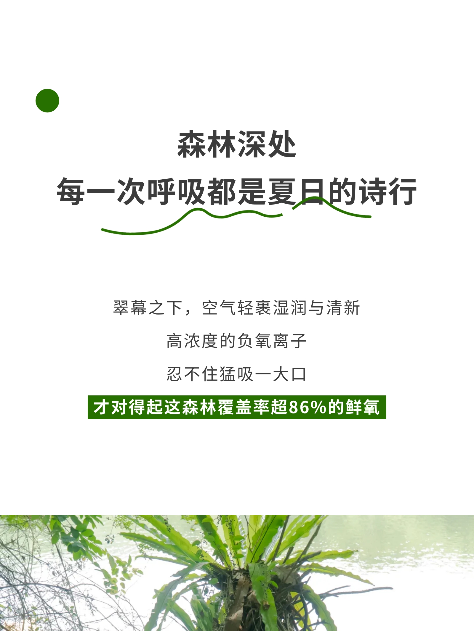 微信图片_2026-05-18_181749_652.jpg