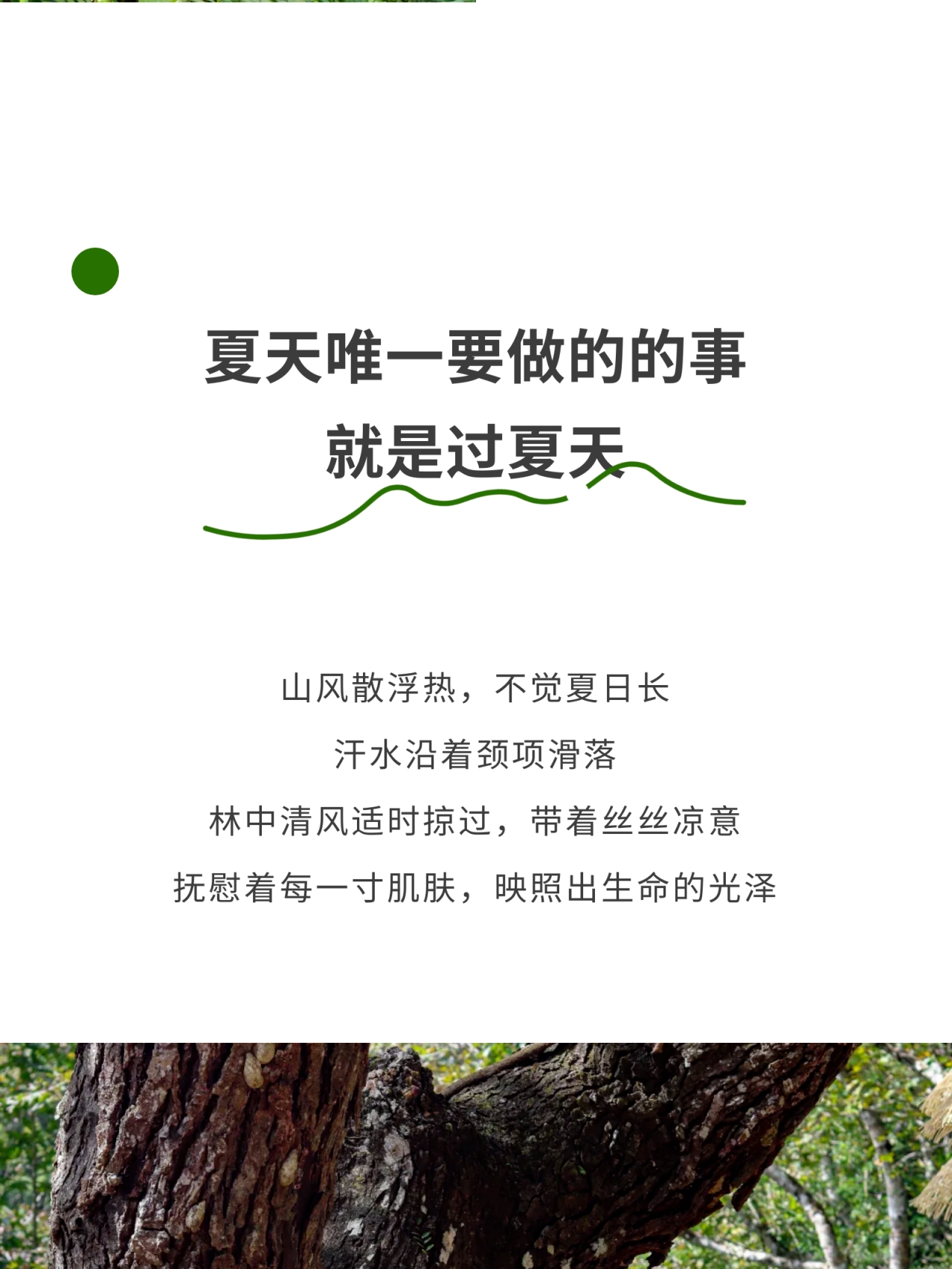 微信图片_2026-05-18_181802_278.jpg