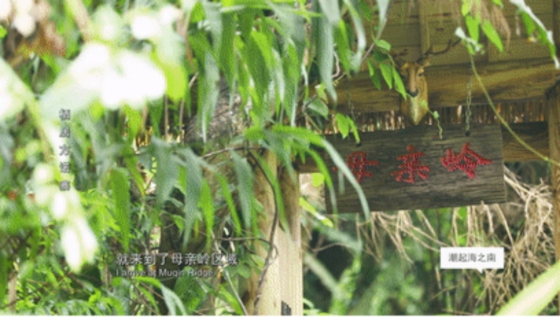 微信图片_2026-05-21_150839_719.jpg