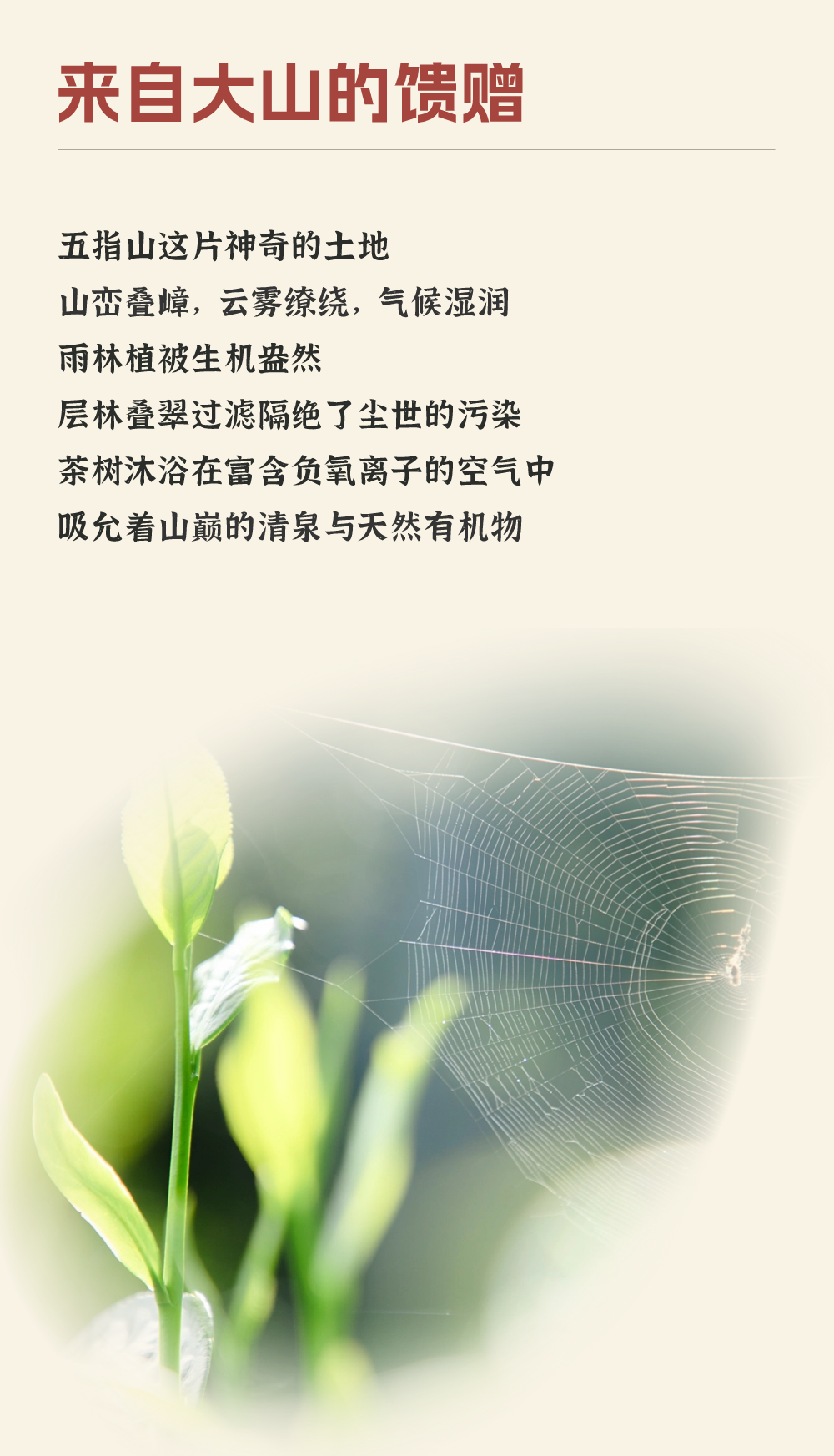 微信图片_2026-05-25_151001_780.png