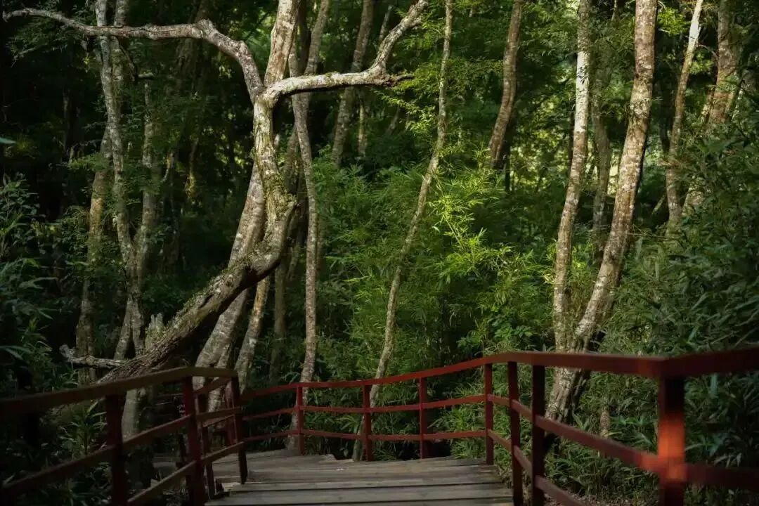 1780045694105931.jpg 微信图片_2026-05-29_160025_107.jpg