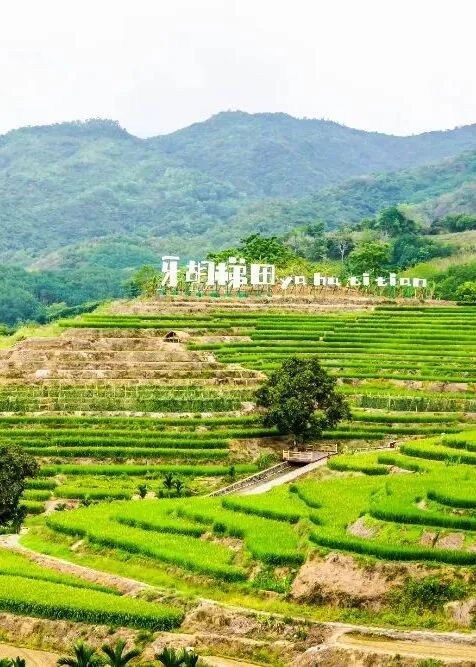 1780045735991107.jpg 微信图片_2026-05-29_160035_976.jpg