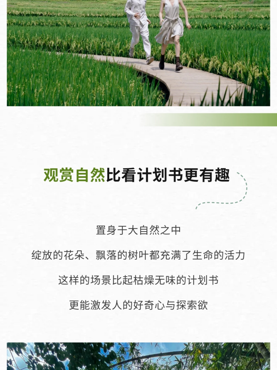微信图片_2026-06-03_084811_329.jpg