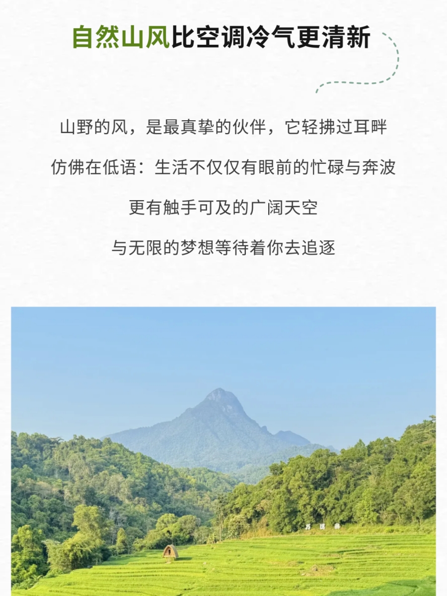 微信图片_2026-06-03_084817_149.jpg