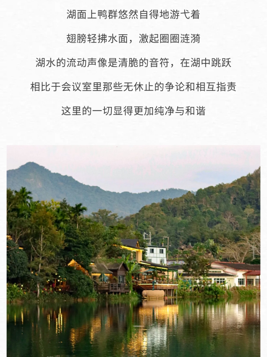 微信图片_2026-06-03_084825_533.jpg