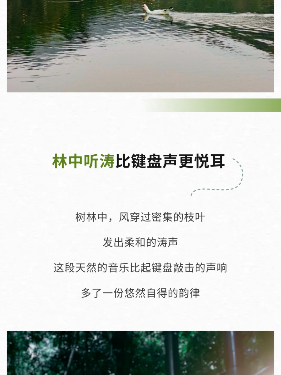 微信图片_2026-06-03_084828_434.jpg