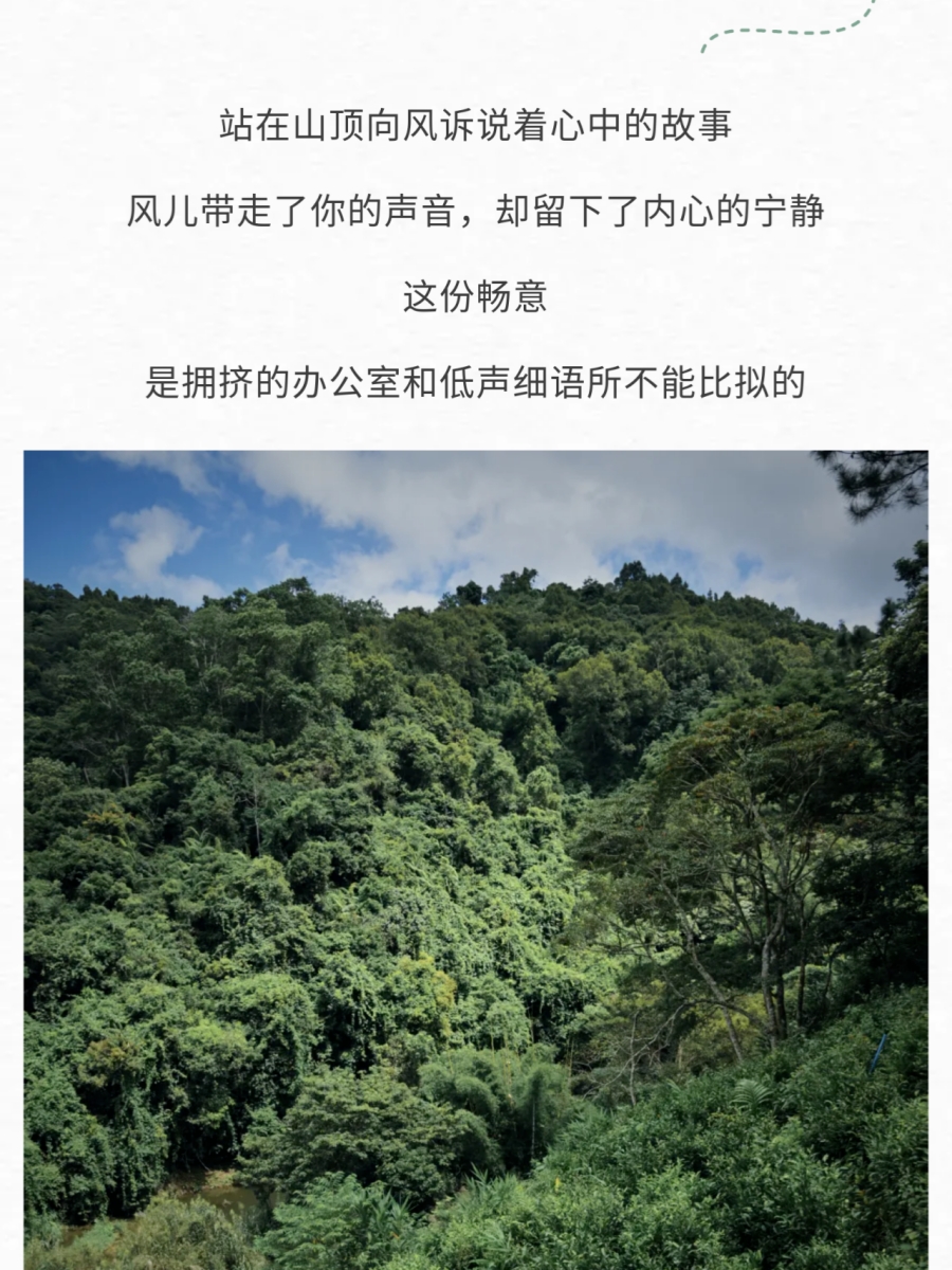 微信图片_2026-06-03_091209_313.jpg