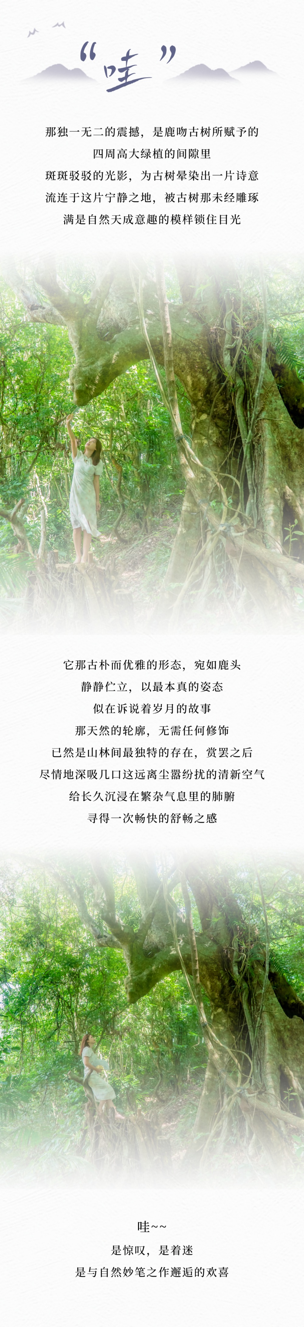 微信图片_2026-06-08_161140_883.jpg