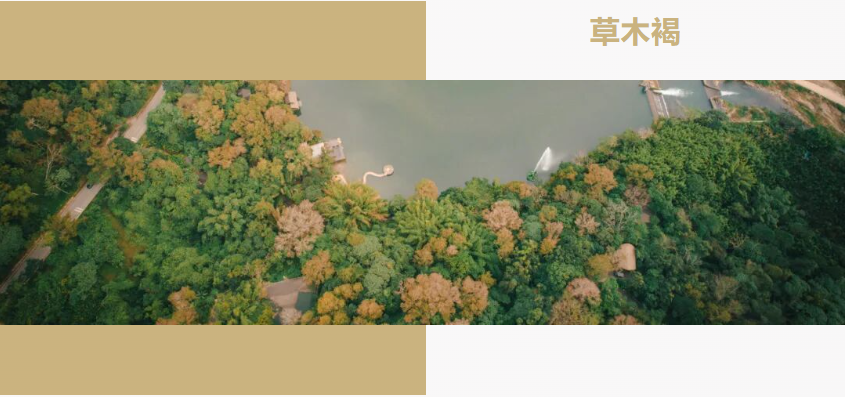 QQ20260609-080106.jpg