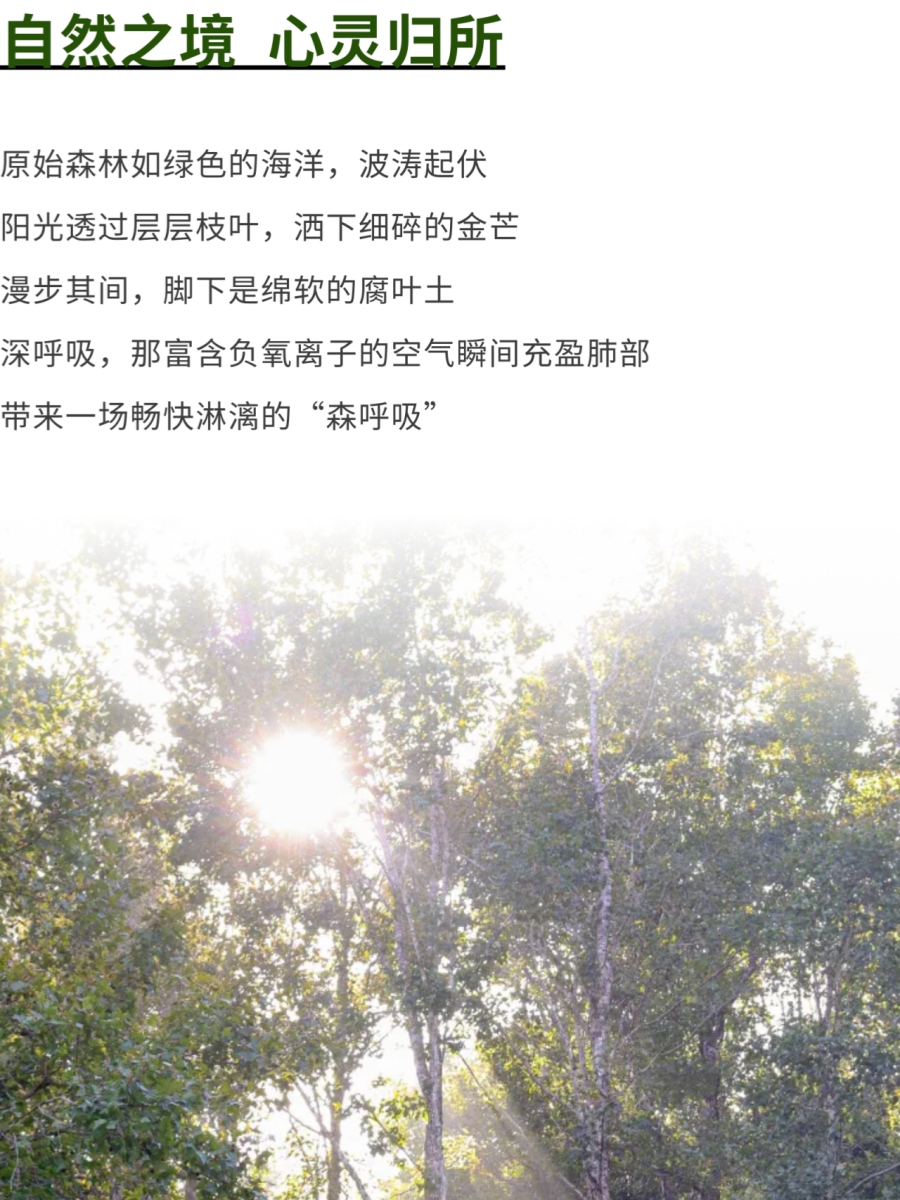 微信图片_2026-06-16_153226_424.jpg