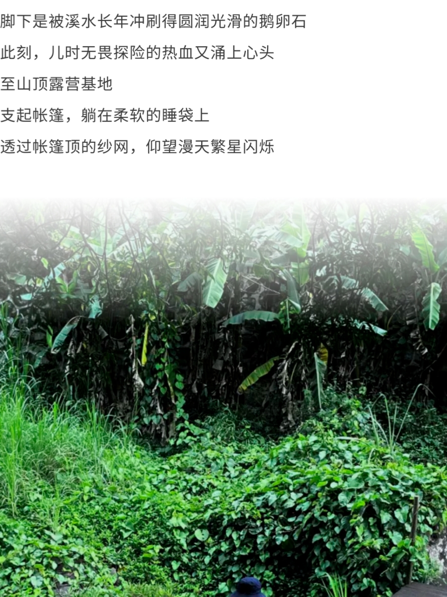 微信图片_2026-06-16_153240_478.jpg