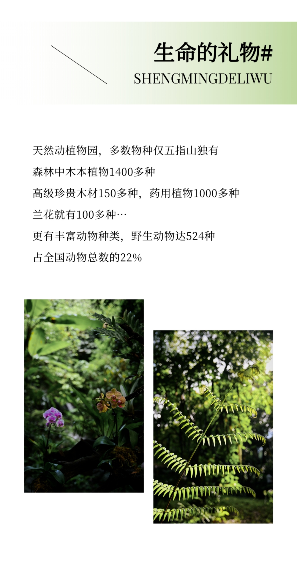 微信图片_2026-07-23_115913_394.jpg