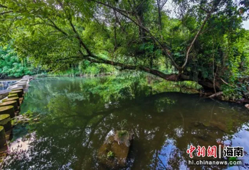 QQ20260806-160050.jpg