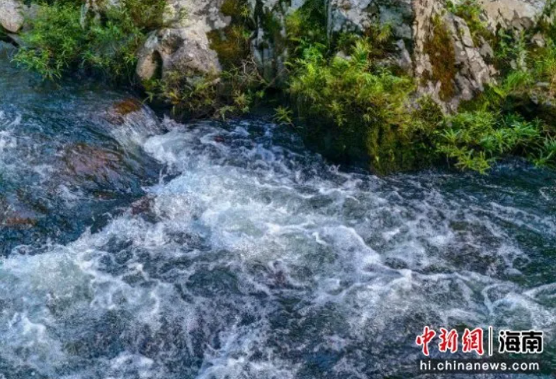 QQ20260806-160112.jpg