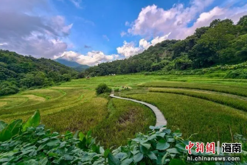 QQ20260806-160119.jpg