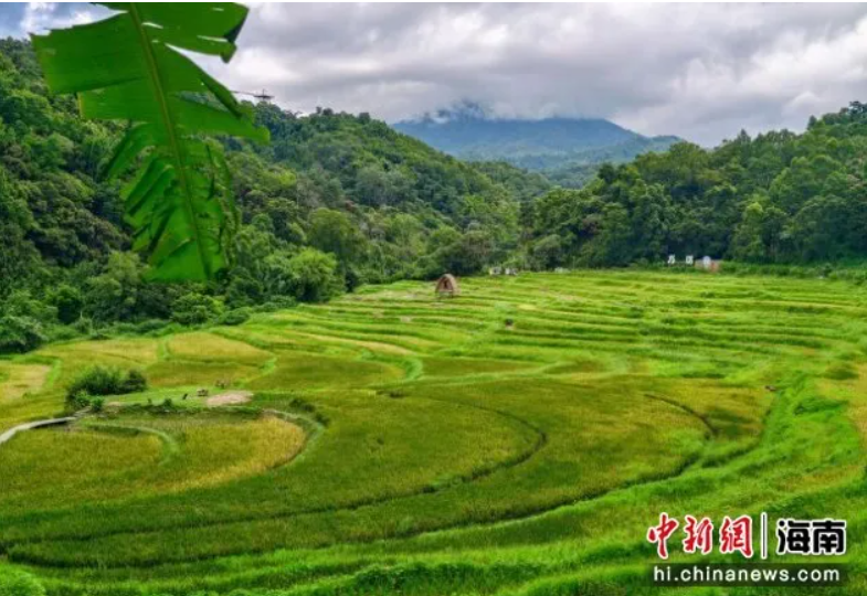QQ20260806-160125.jpg