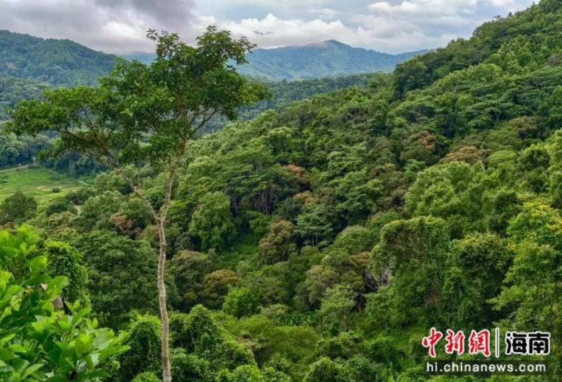 QQ20260806-160203.jpg